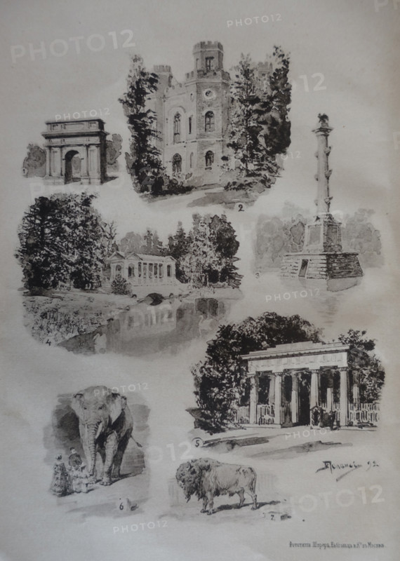 Views of the Tsarskoe Selo