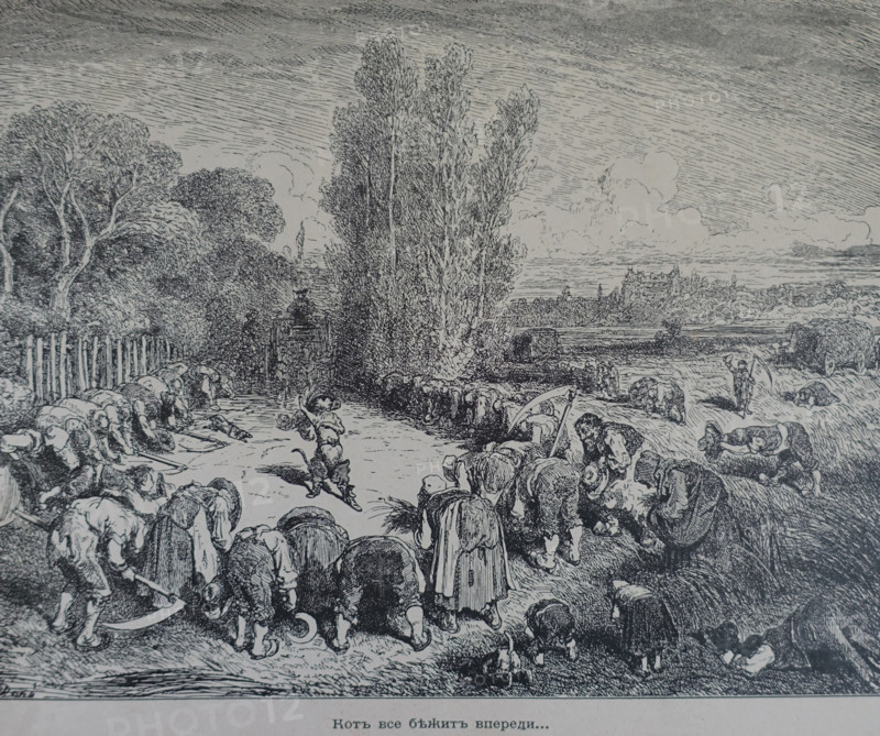 Illustration from the book Puss in Boots