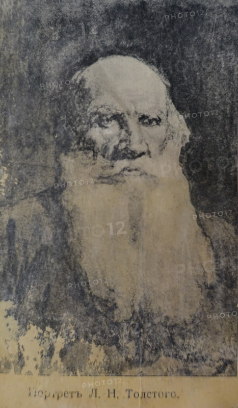 Portrait of Leo Tolstoy (1828-1910)