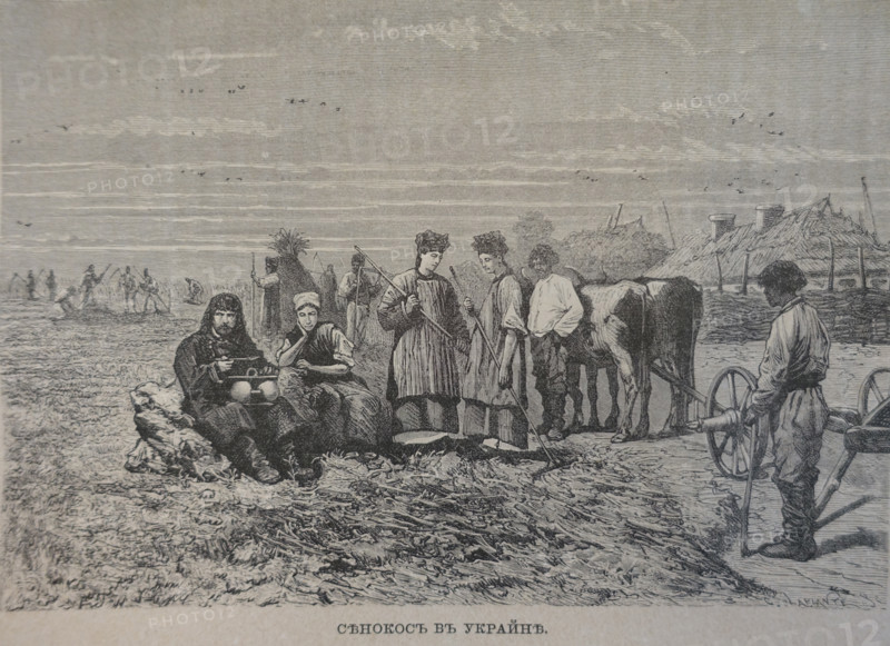 Haymaking in Ukraine
