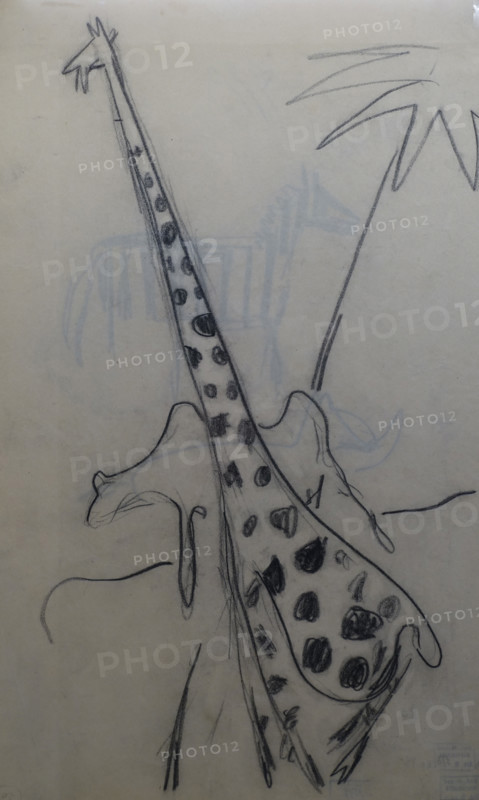 Drawing of giraffe
