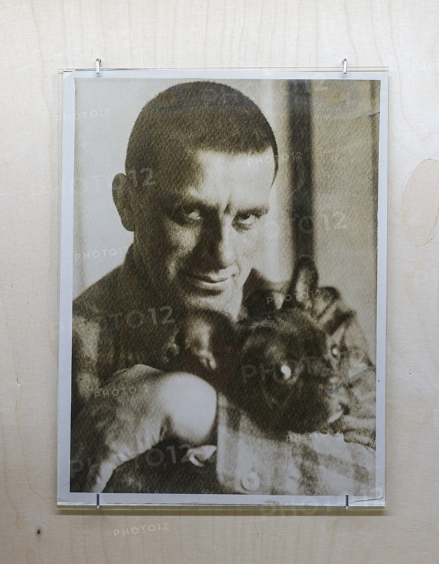 Portrait of Mayakovsky Vladimir Vladimirovich (1893-1930) with dog Bulka