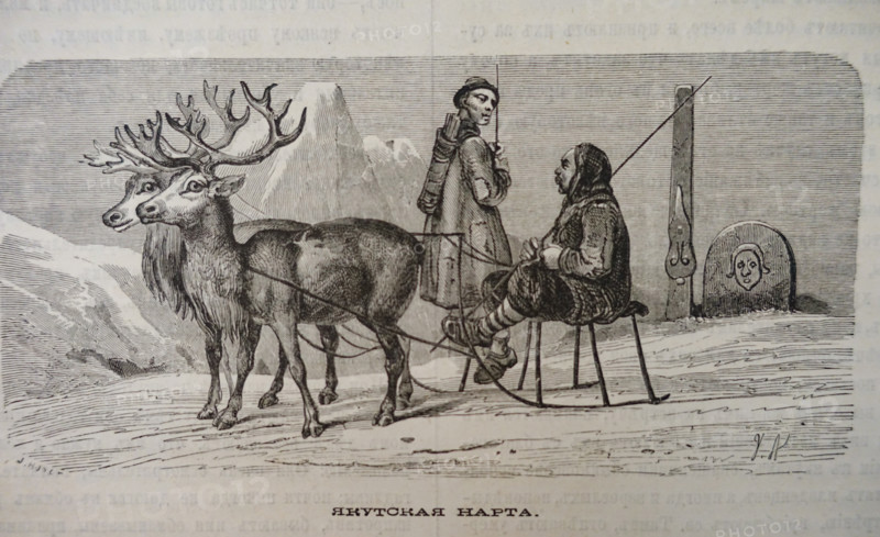 Yakut sled