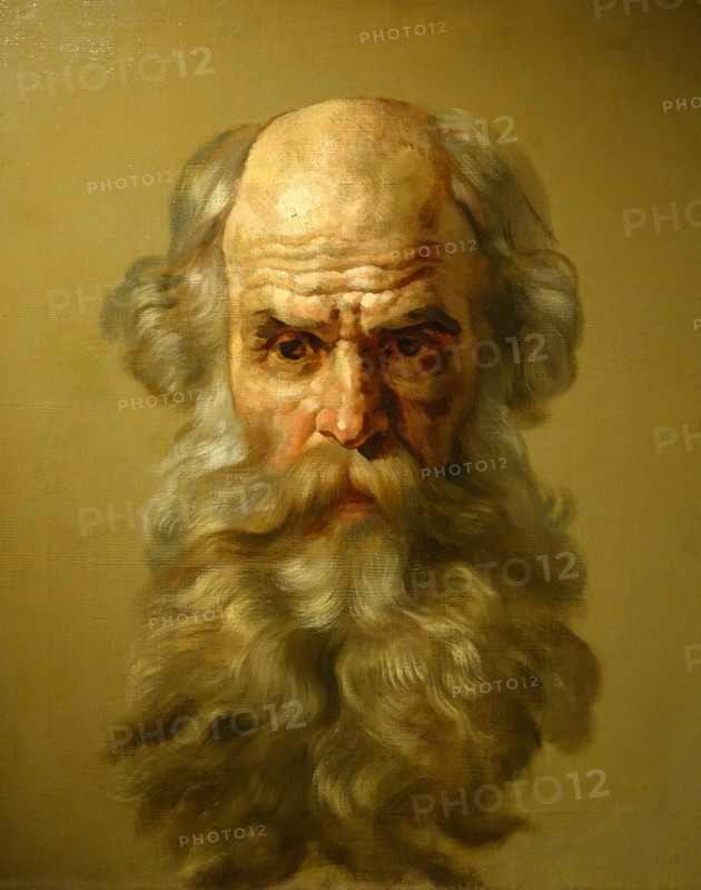 Head of an Old Man
