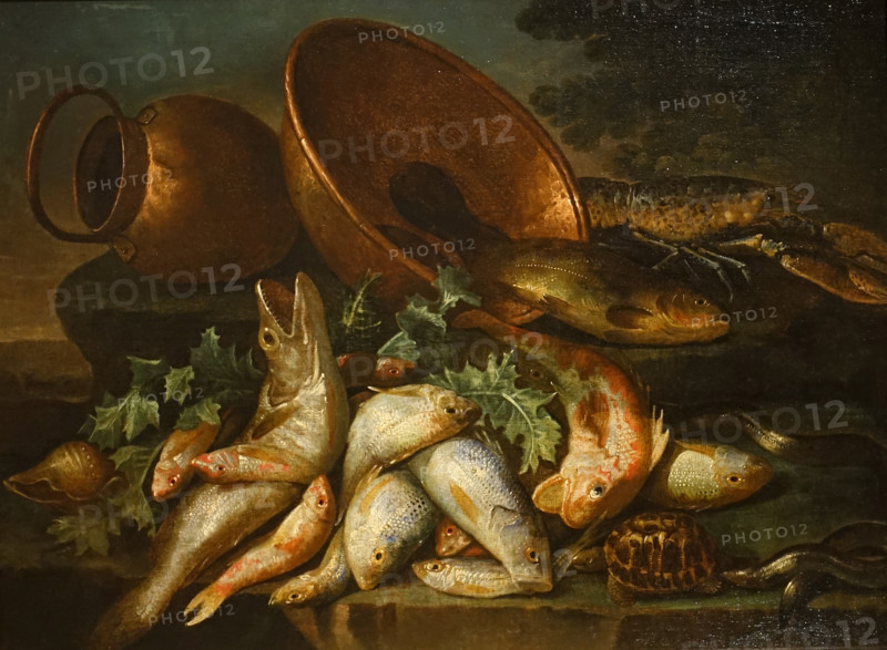 Still Life with Fish
