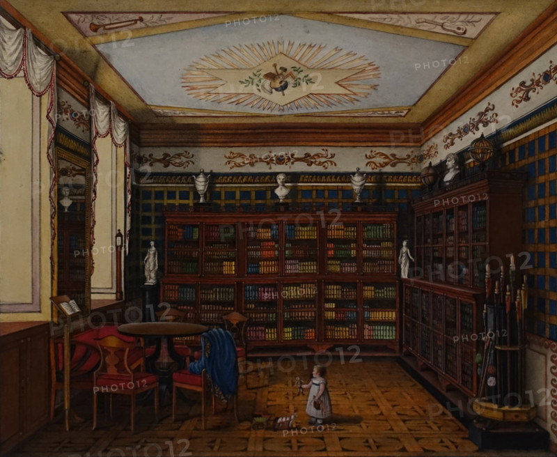 Library of Count Henri in Romanov