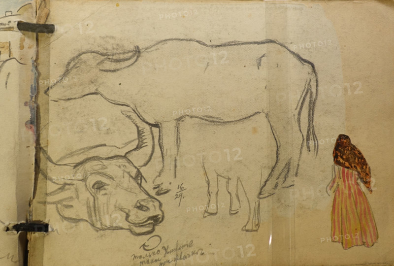 Temir Khan Shura (now Buinaksk