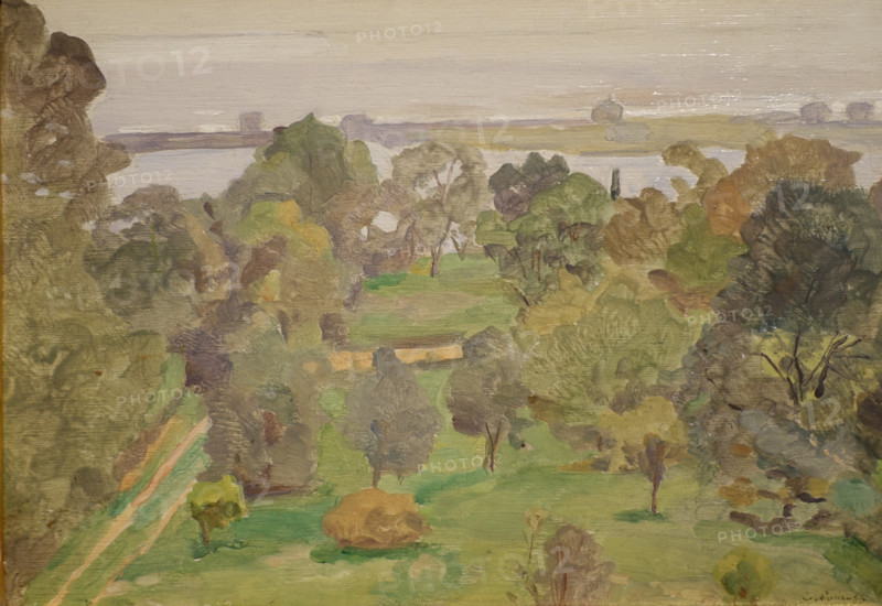 Landscape