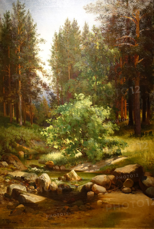 Forest river