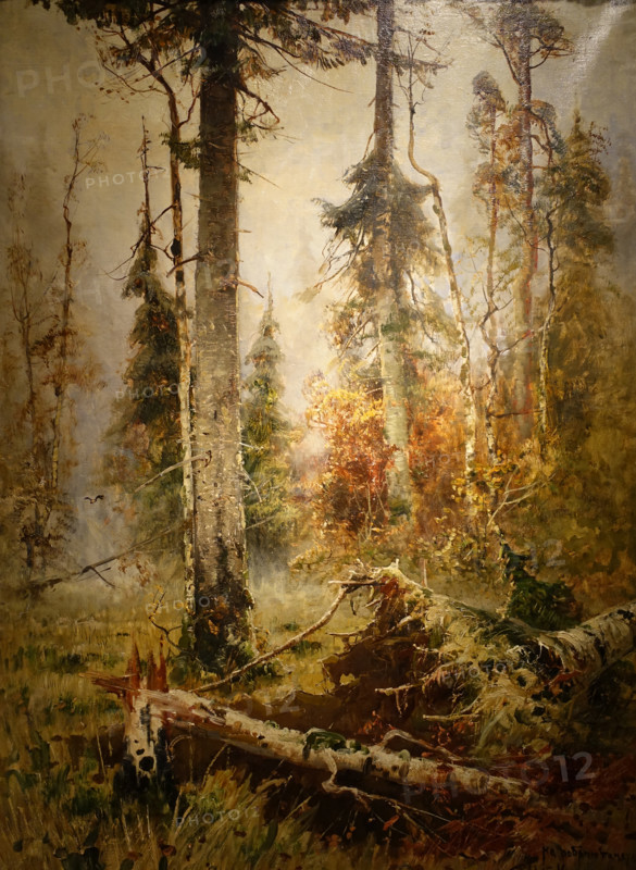 Forest