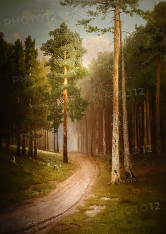 Forest