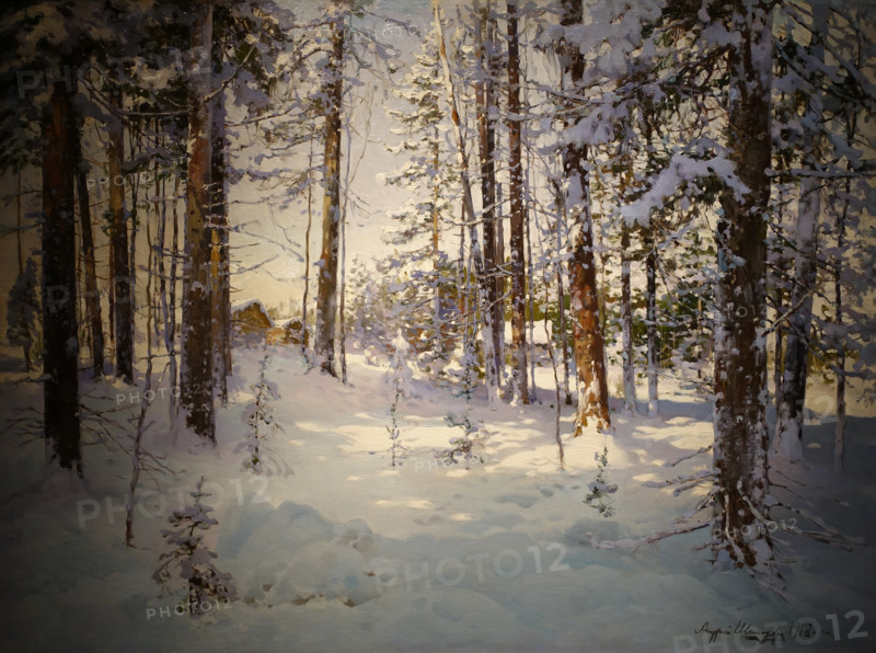 Winter forest