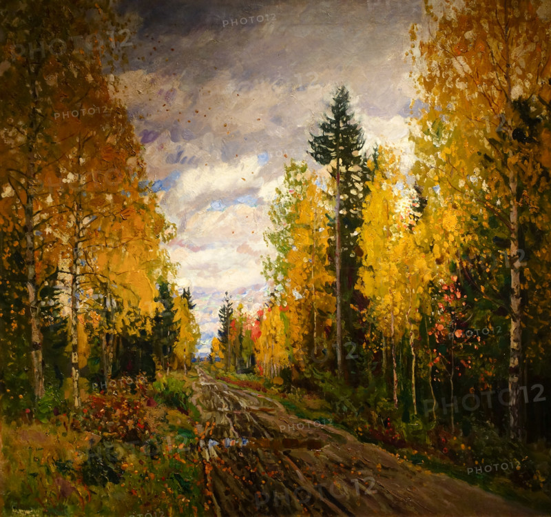 Autumn forest