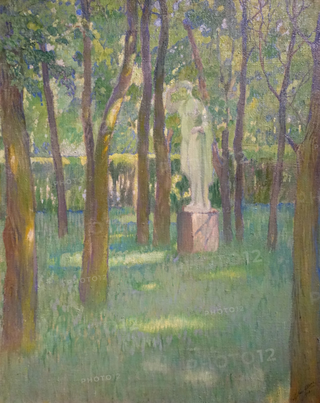 Among the green trees