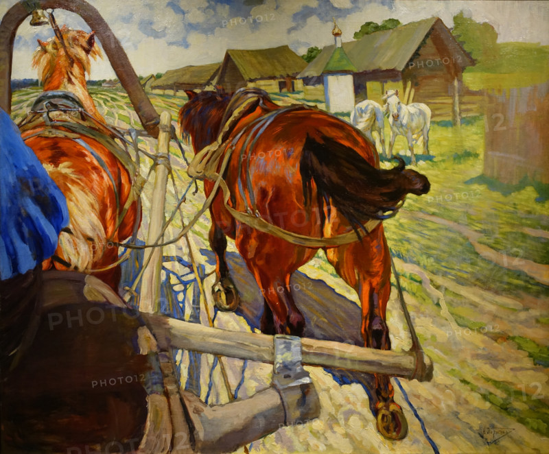 Horses