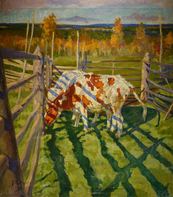 Calves by the fence