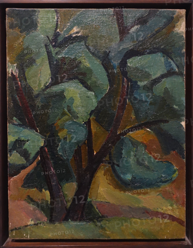 Trees