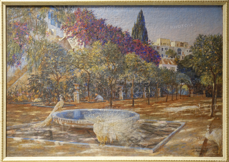 In the gardens of Sidi Bou Said