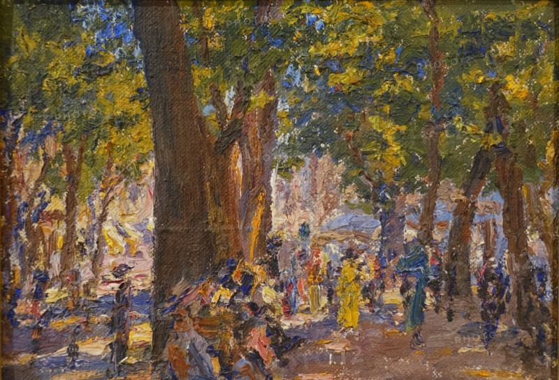 Walking in the park