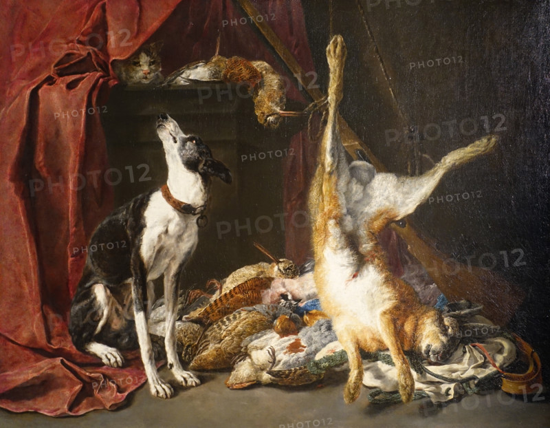Still Life with a Dead Bird