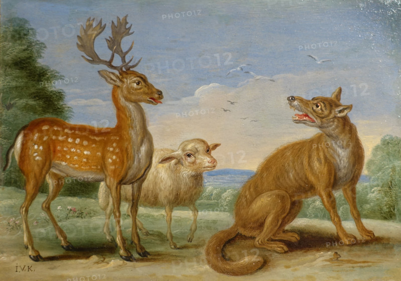 Deer