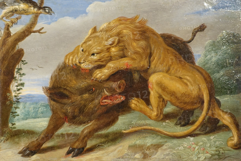 The Lion and the Boar