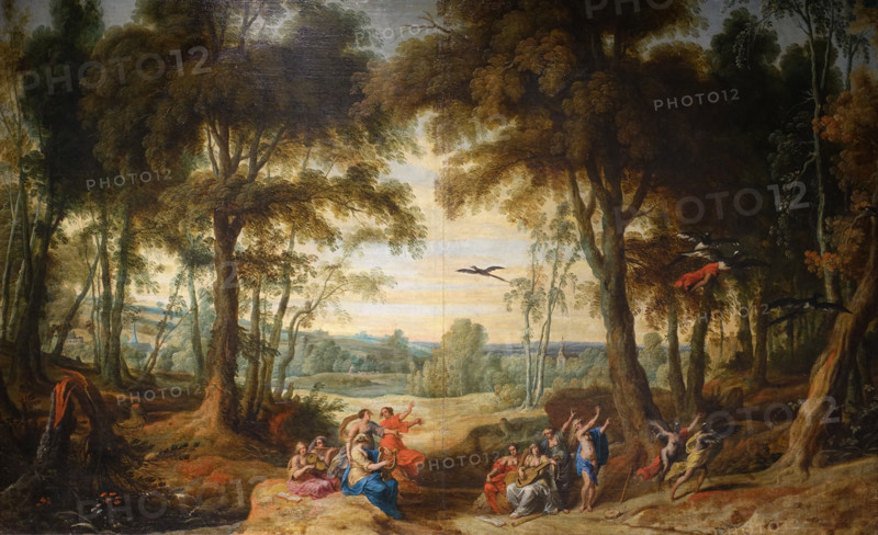 The Transformation of Pierides into Magpies