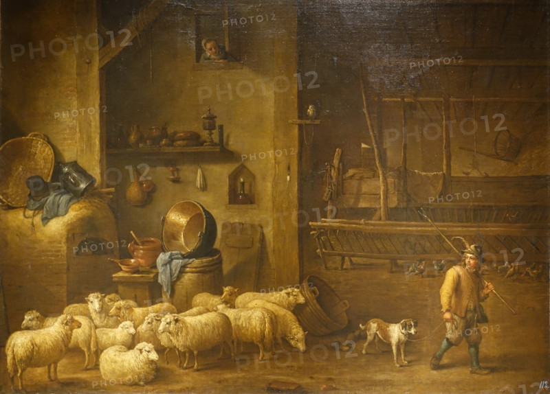 Sheepfold