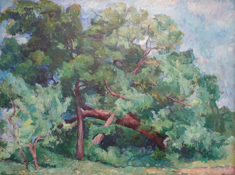 Catherine Park