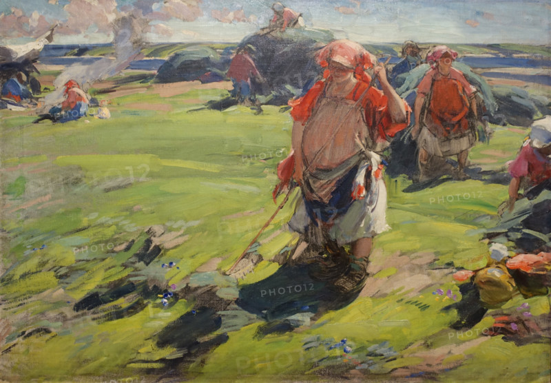 Hay Harvest