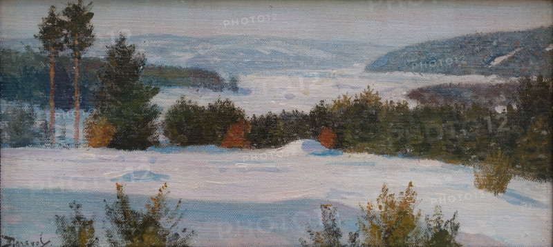 Frosty day