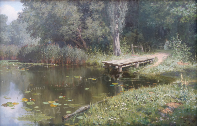 Overgrown pond