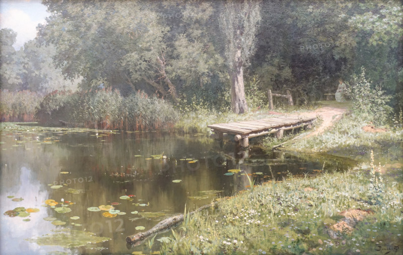 Overgrown pond