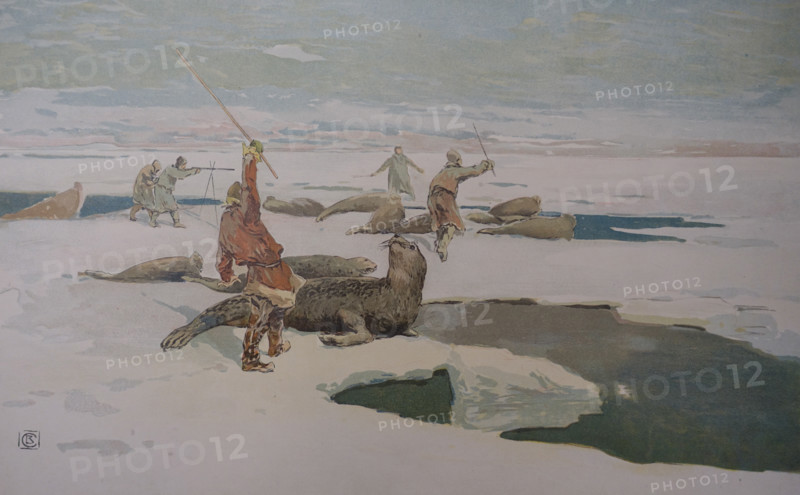Seal hunting