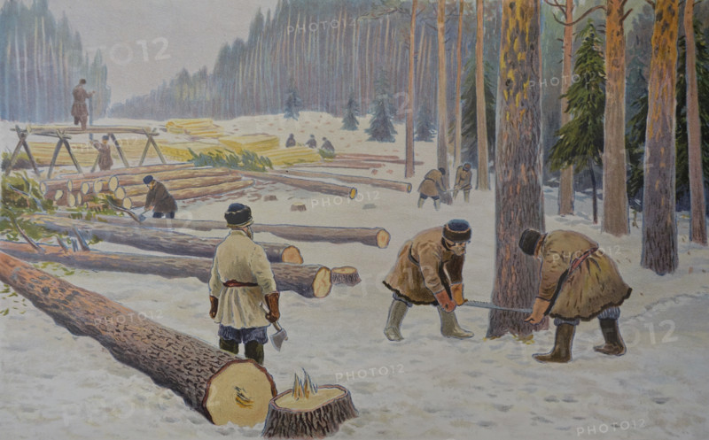 Work in the forest