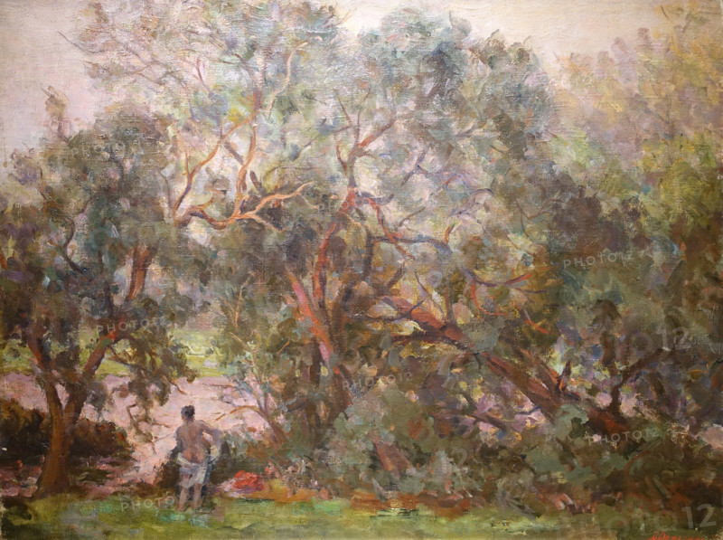 Willows