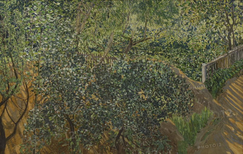 In the Garden