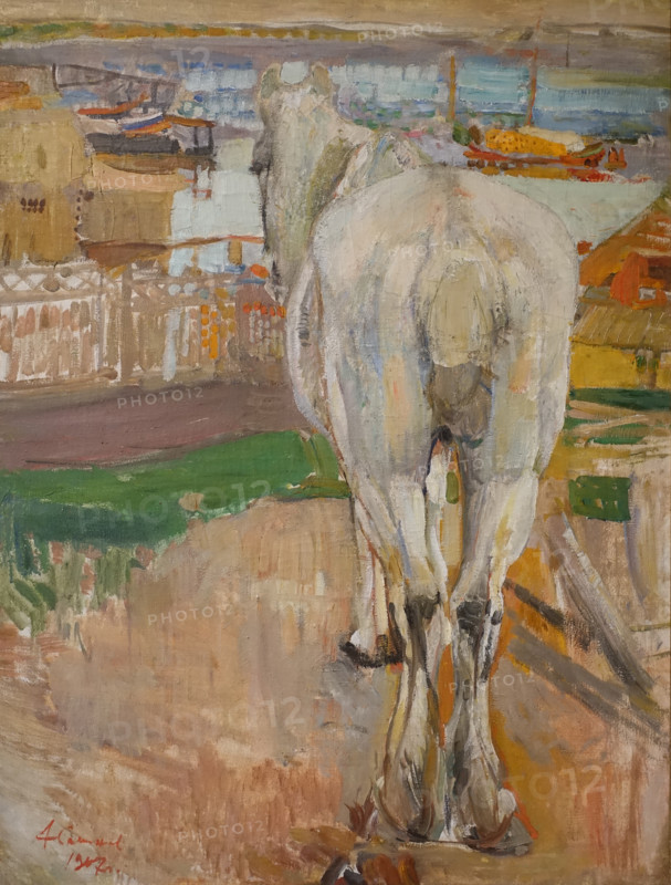 Horse on Volga Riverbank