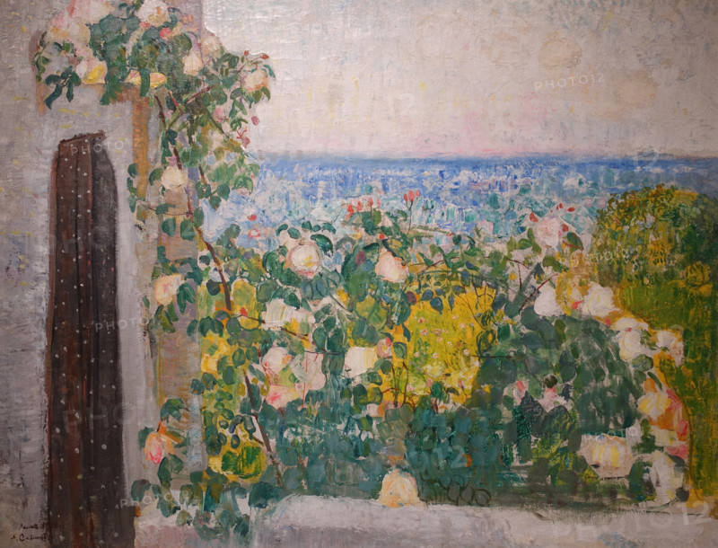 Balcony Twined with Roses