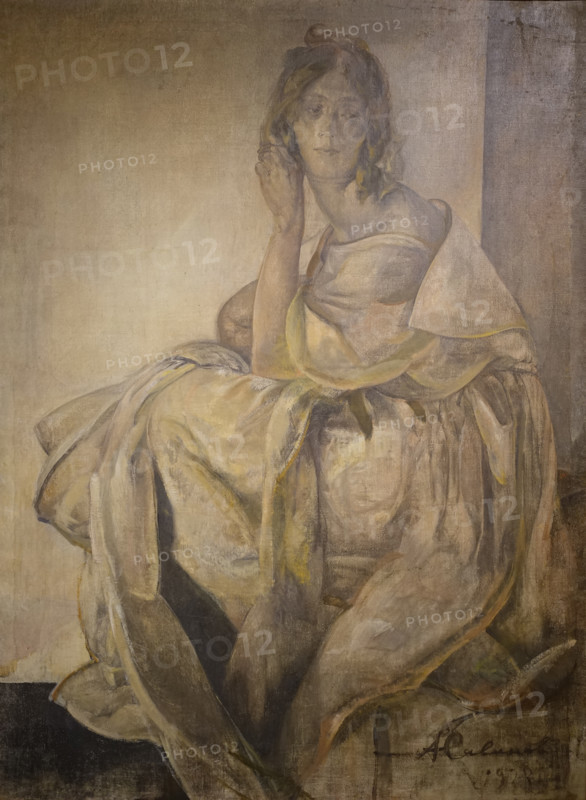 Portrait of Nadezhda Neslukhovskaya (Romanova
