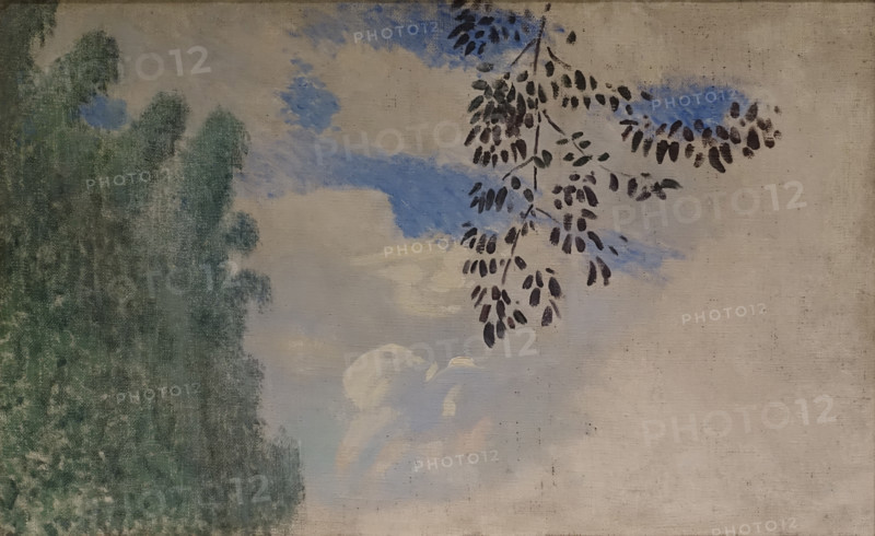 Tree Branch against Clouds