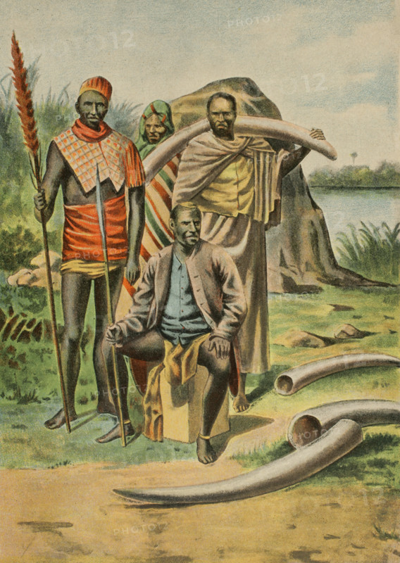 Africa. Elephant tusks brought from the inland by Captain Lezgard. Chromolithograph. ""La conquista de Africa"" (The conquest of Africa), by Alfredo Opisso. Volume II. Published in Barcelona (Spain) by Molinas y Maza editores, 1911.