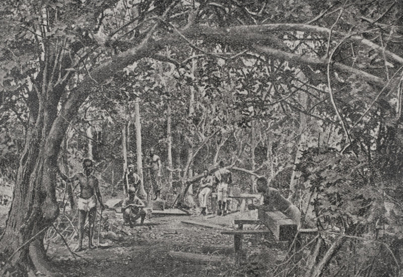 Cutting timber in a Lower Congo forest. Photogravure from a photograph by the Rev. R. D. Darby. ""La conquista de Africa"" (The conquest of Africa), by Alfredo Opisso. Volume II. Published in Barcelona (Spain) by Molinas y Maza editores, 1911.