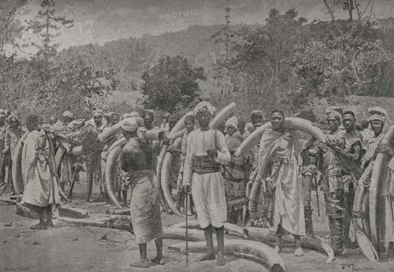 Africa. Elephant tusks brought from the inland by Captain Lugard. Dualla, a famous caravan leader, in the foreground. Photogravure by Andre & Sleigh. ""La conquista de Africa"" (The conquest of Africa), by Alfredo Opisso. Volume III. Published in Barcelona (Spain) by Molinas y Maza editores, 1911.