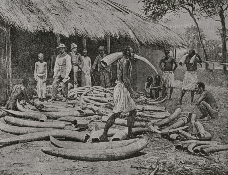 Uganda. Ivory store. Photogravure from a photograph by Mr. Fred L. M. Moir of the African Lakes Company. ""La conquista de Africa"" (The conquest of Africa), by Alfredo Opisso. Volume III. Published in Barcelona (Spain) by Molinas y Maza editores, 1911.