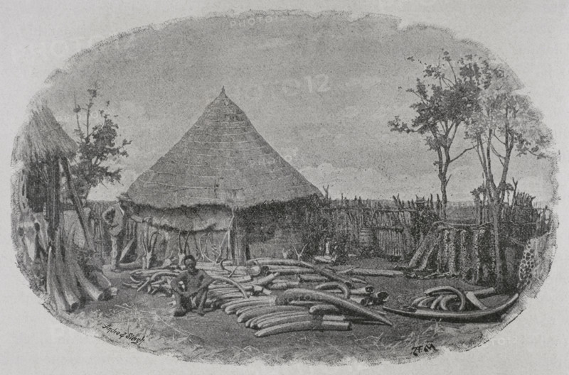 Botswana, Africa. Elephant tusks depot in Pandamatenga. Trader's store. Photogravure by Andre & Sleigh. ""La conquista de Africa"" (The conquest of Africa), by Alfredo Opisso. Volume III. Published in Barcelona (Spain) by Molinas y Maza editores, 1911.