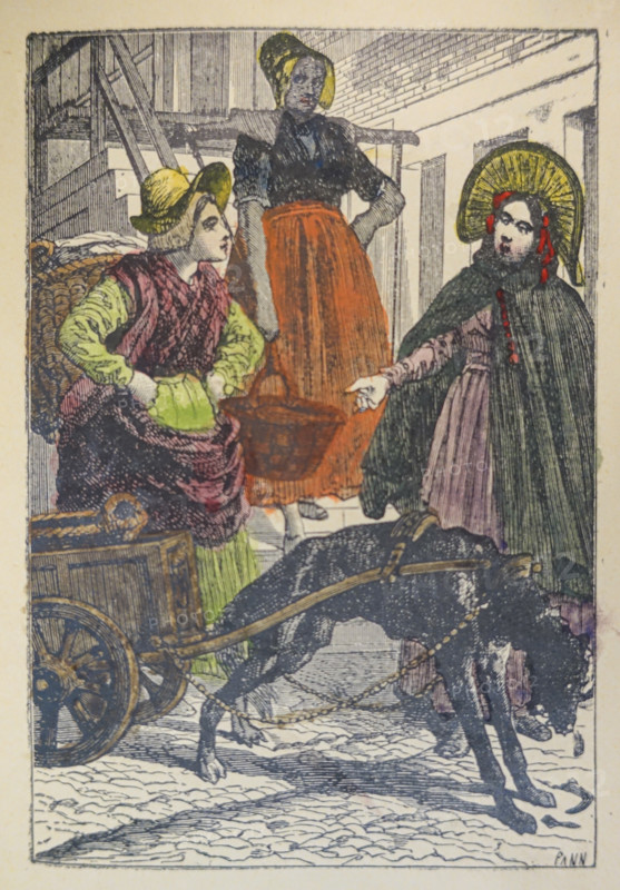 Illustration from the book The Silver Skates. Drawings by Theophile Schuler (1821-1878). 1870.