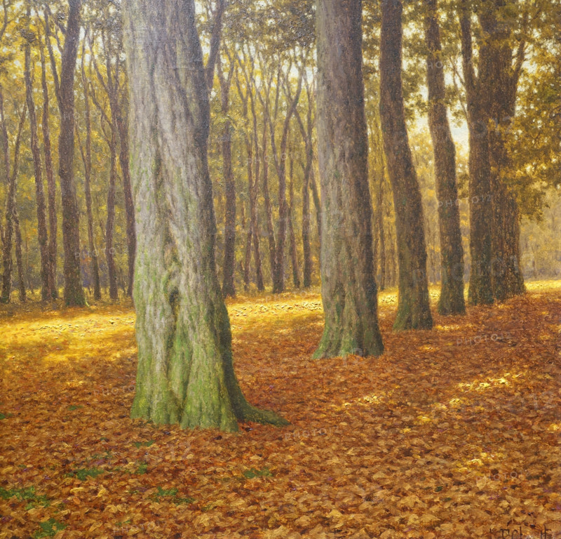 Alley in Saint-Cloud Park