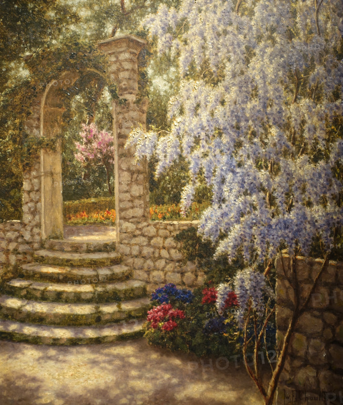 Wisteria. 1920s. Ivan Fedorovich Shultze (1874-1939).