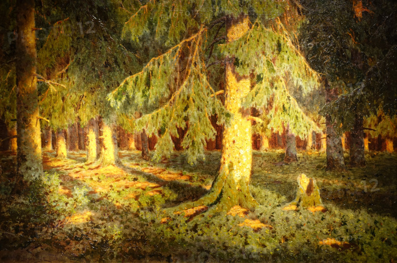 Sun in the forest. 1916. Ivan Fedorovich Shultze (1874-1939).
